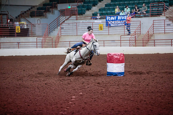 www.ngaphoto.com 2015 Georgia Federation of Saddle Clubs Championship Horse Show