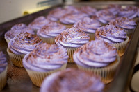 Chocolate Chip Pumpkin Spice Cupcakes