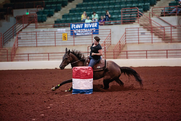 www.ngaphoto.com 2015 Georgia Federation of Saddle Clubs Championship Horse Show