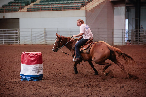 www.ngaphoto.com 2015 Georgia Federation of Saddle Clubs Championship Horse Show