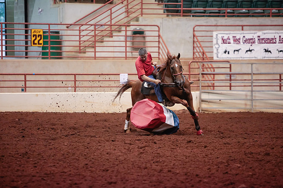 www.ngaphoto.com 2015 Georgia Federation of Saddle Clubs Championship Horse Show