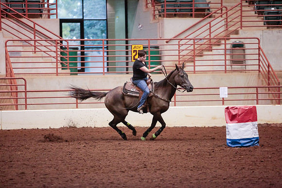 www.ngaphoto.com 2015 Georgia Federation of Saddle Clubs Championship Horse Show