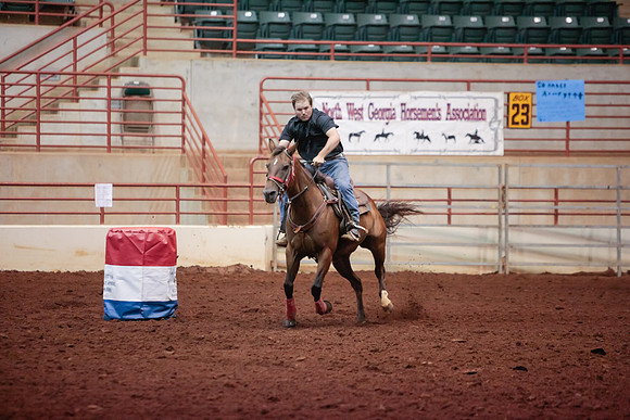 www.ngaphoto.com 2015 Georgia Federation of Saddle Clubs Championship Horse Show