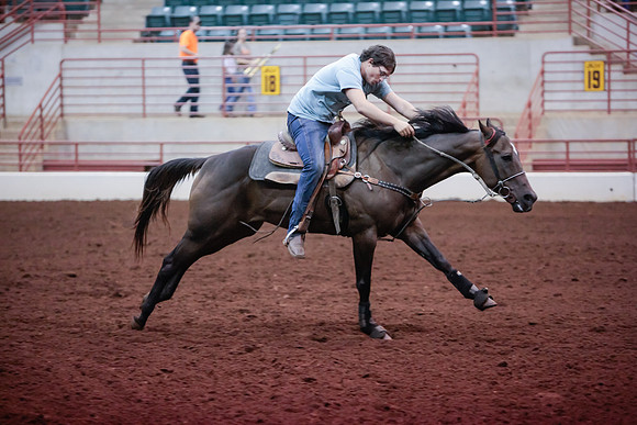 www.ngaphoto.com 2015 Georgia Federation of Saddle Clubs Championship Horse Show