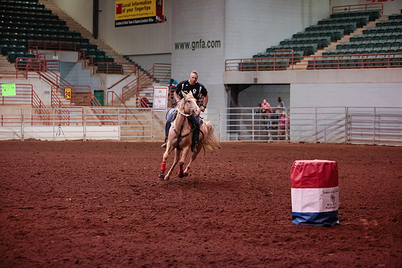 www.ngaphoto.com 2015 Georgia Federation of Saddle Clubs Championship Horse Show