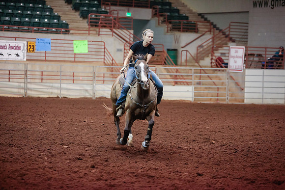 www.ngaphoto.com 2015 Georgia Federation of Saddle Clubs Championship Horse Show