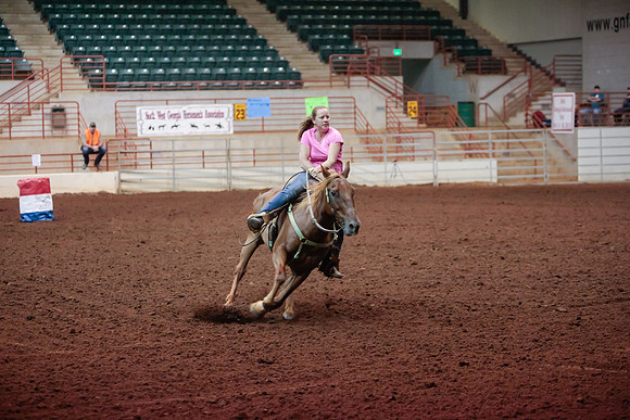 www.ngaphoto.com 2015 Georgia Federation of Saddle Clubs Championship Horse Show