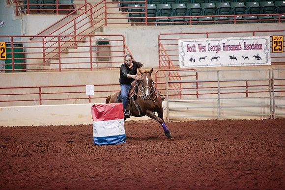 www.ngaphoto.com 2015 Georgia Federation of Saddle Clubs Championship Horse Show